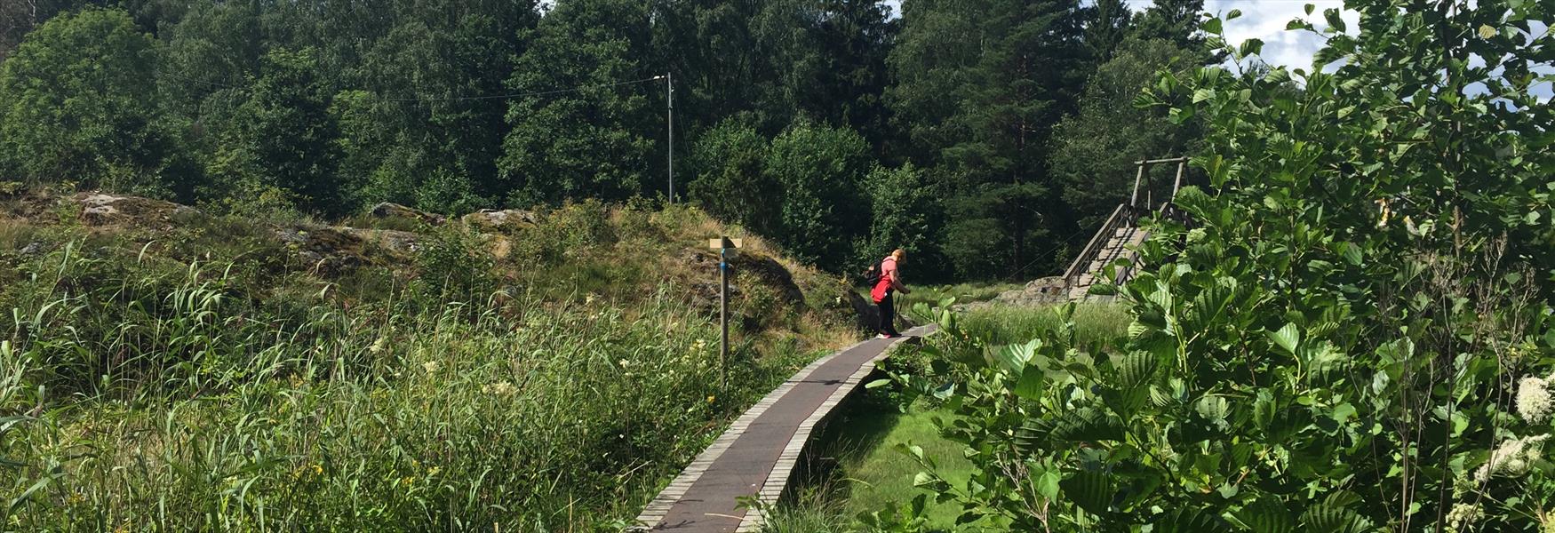 tursti på Løvøya