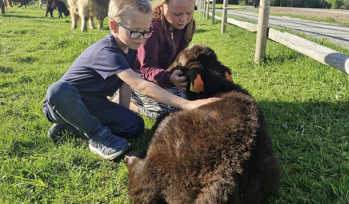 Barn med kalv