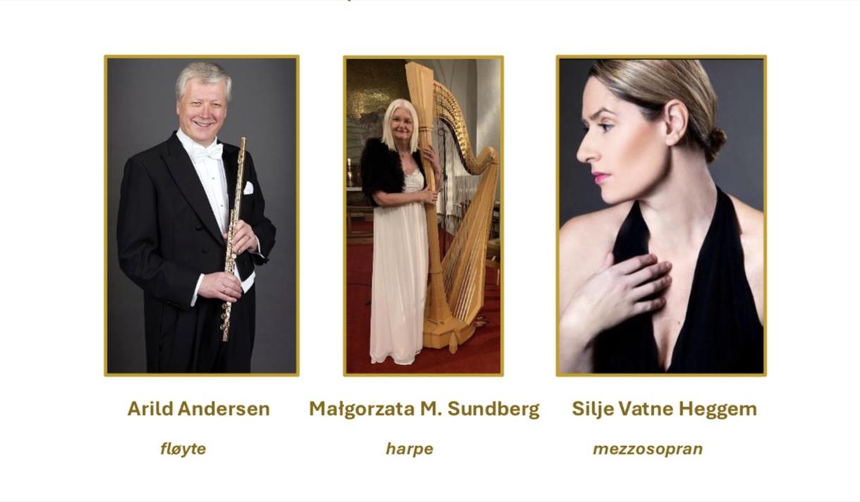 Silje Vatne Heggem, Malgorzata M Sundberg og Arild Andersen