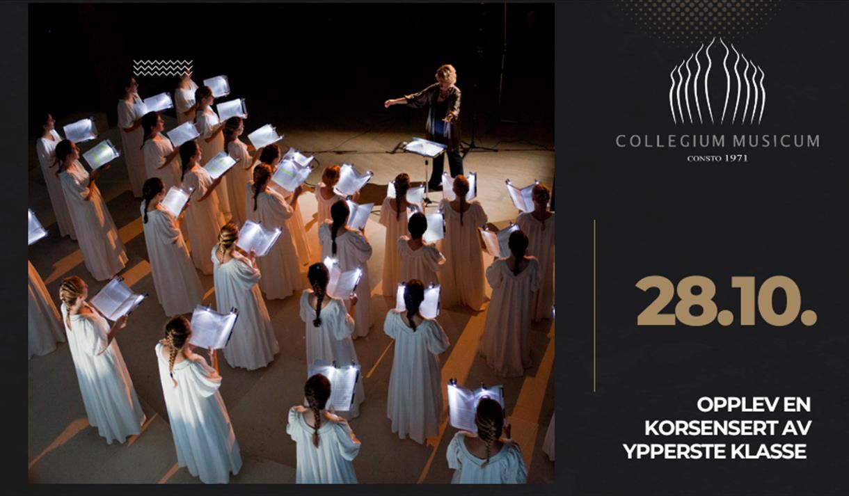 Collegium Musicum