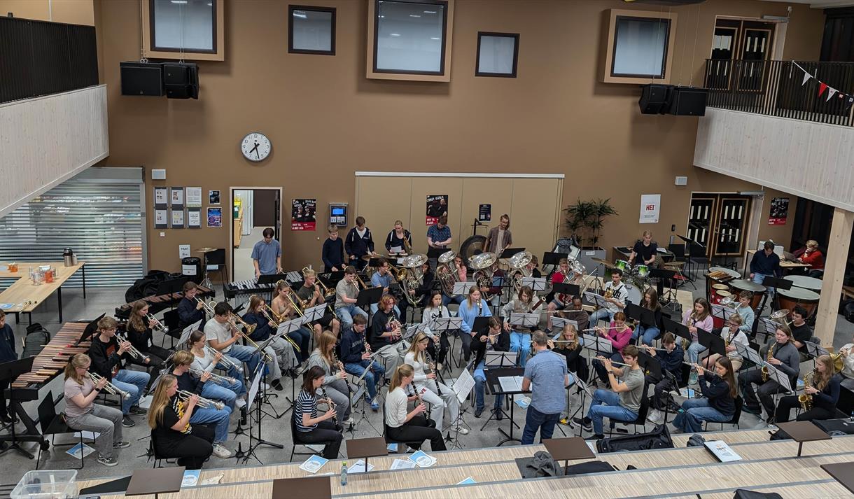 Regionskorpset i Sør