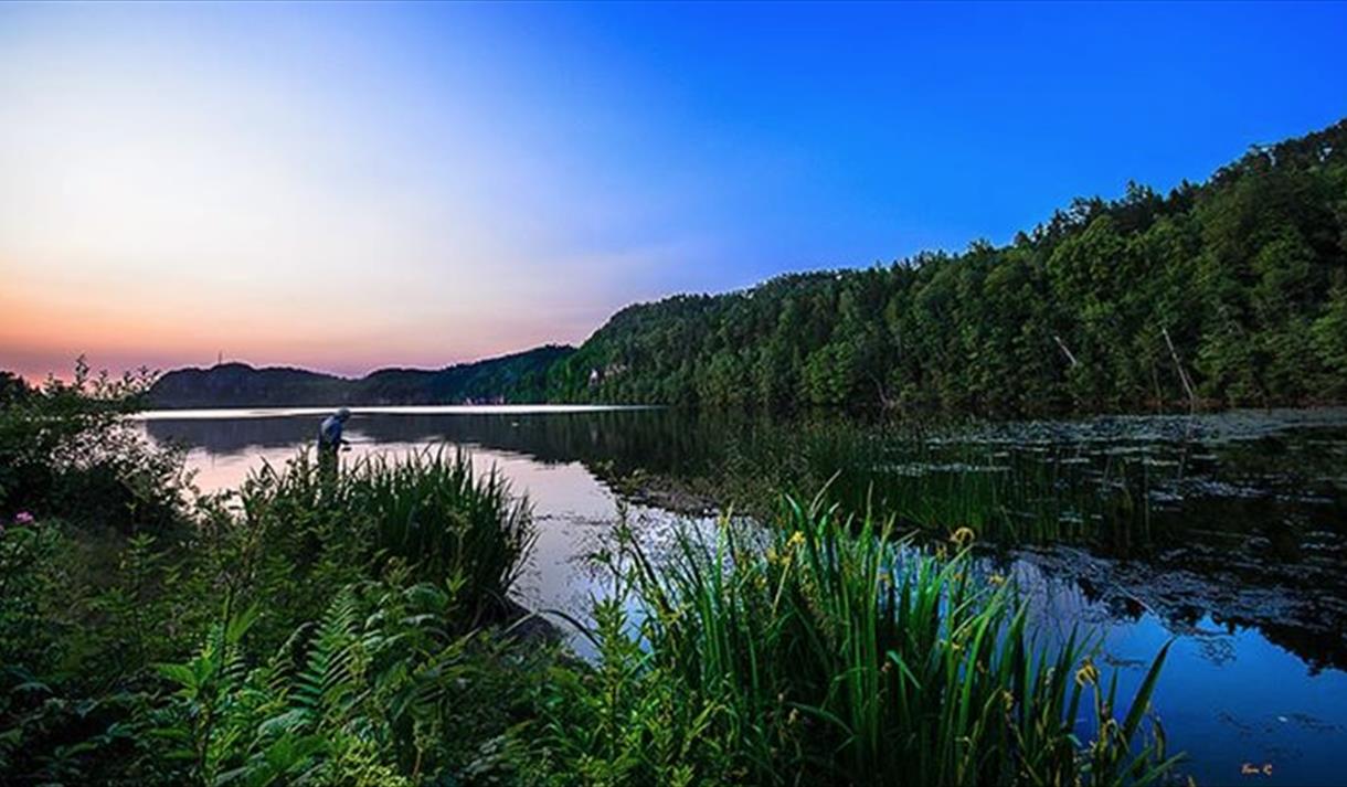 Stokkevannet
