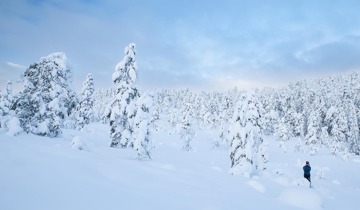 Fotokurs Menstad bydelshus