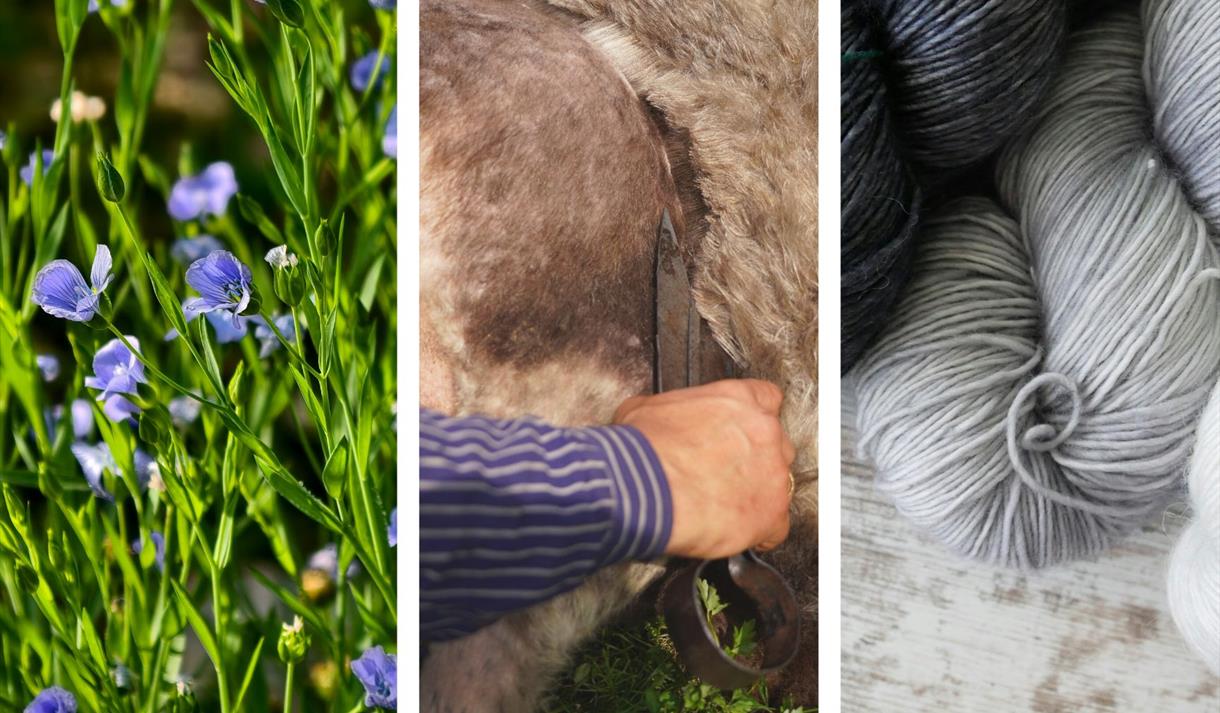 Linblomar, saueklypp og ulltråd.