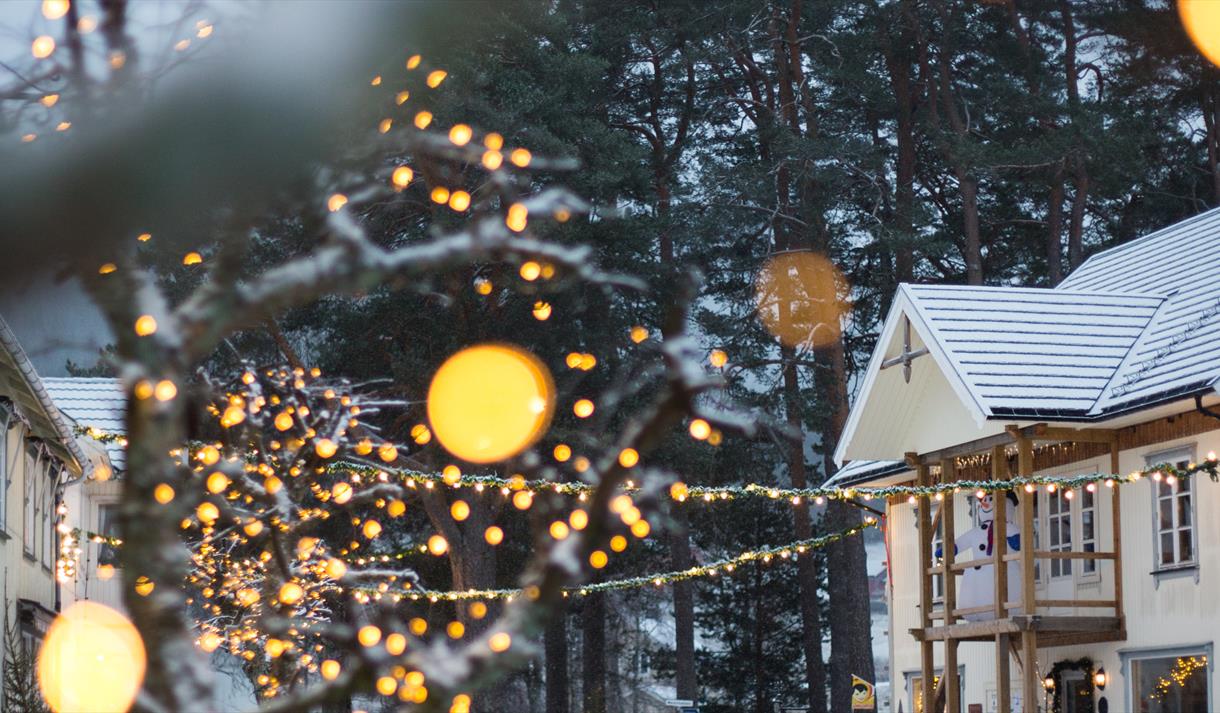 vinter i Folkestadbyen