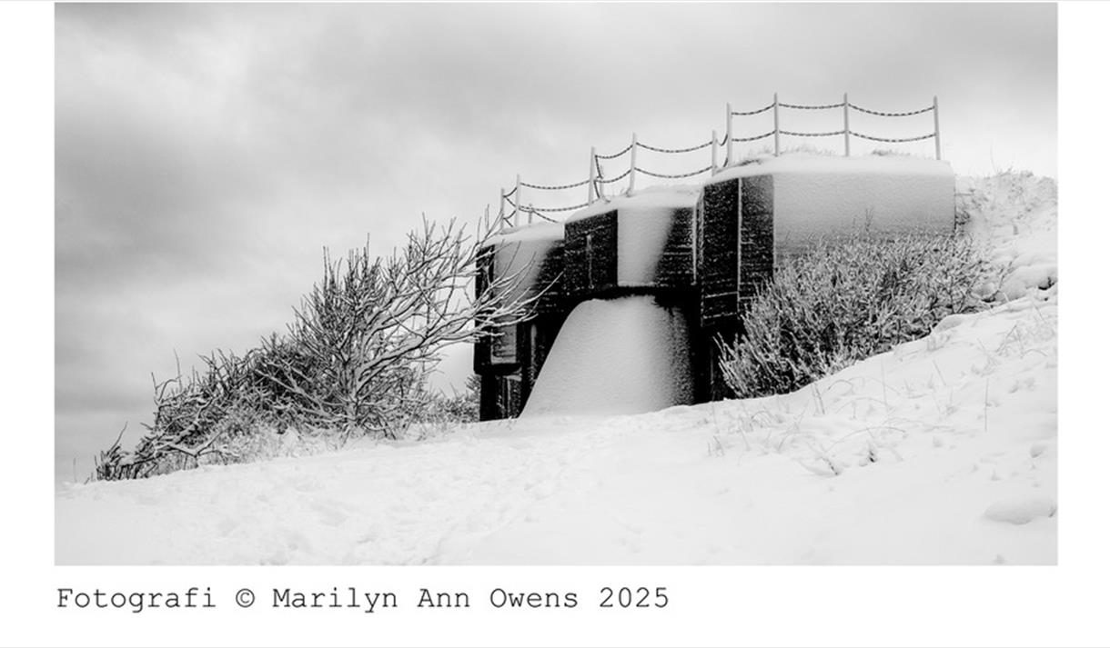 Closed Doors Open Skies