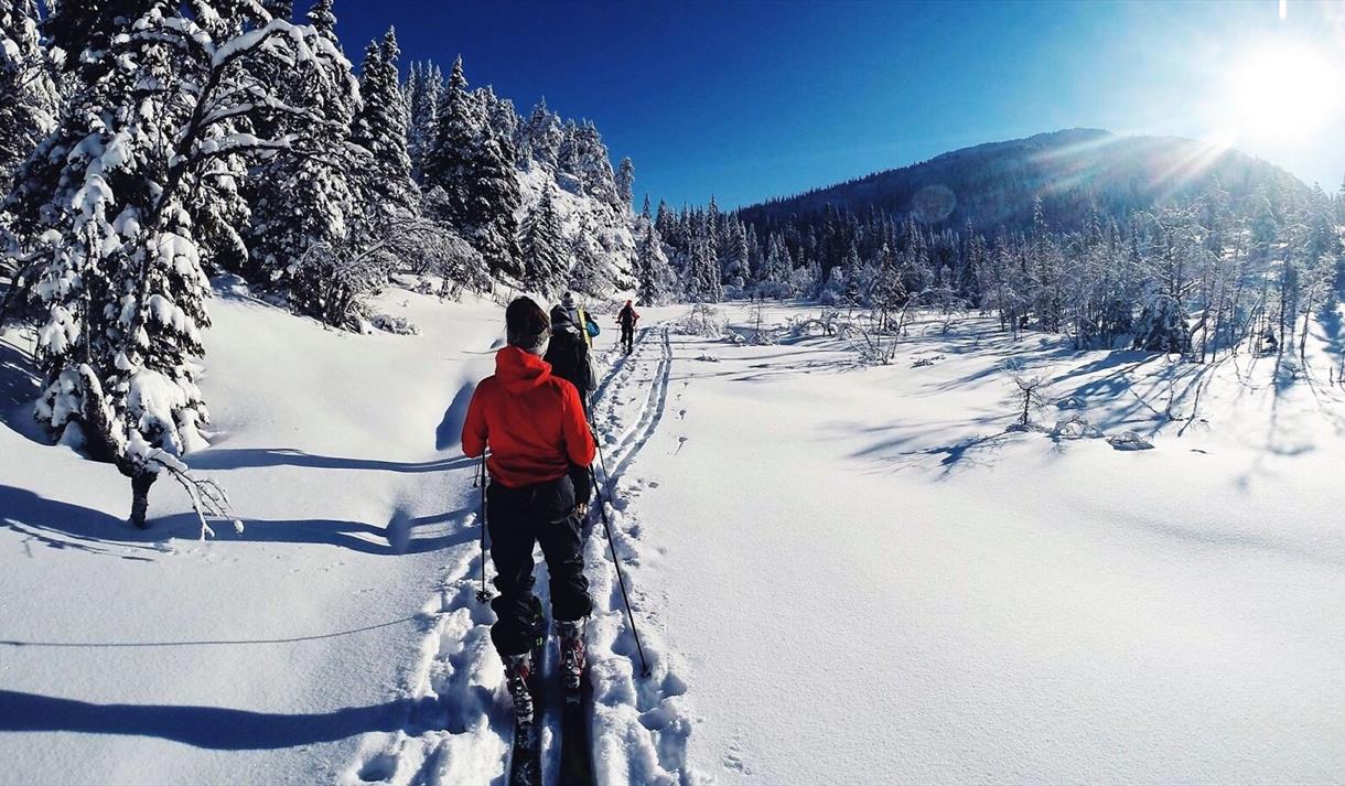 gruppe på skitur med Morgedal Aktiv