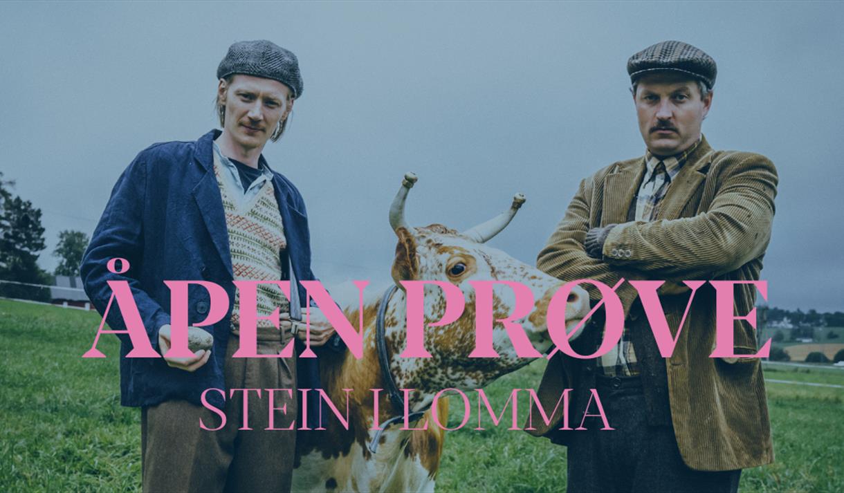 plakat til "Stein i Lomma"