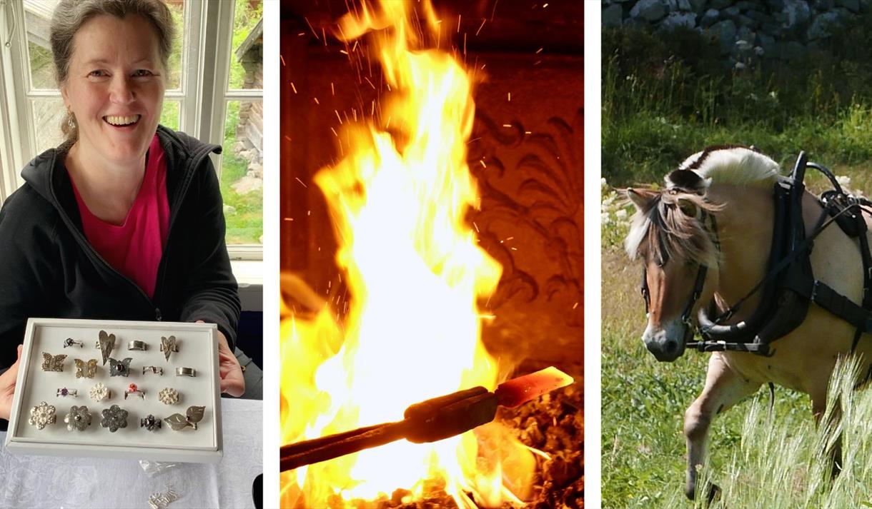 Collage: Sylsmed Hilde Grandal og museumsbondens hest, Vest-Telemark museum Eidsborg.