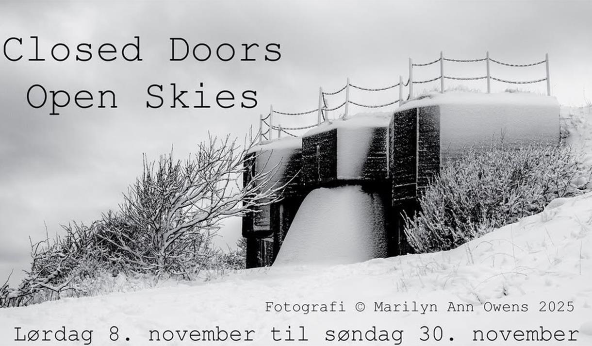 sort hvitt bilde med snødekte trær og militær bunkers