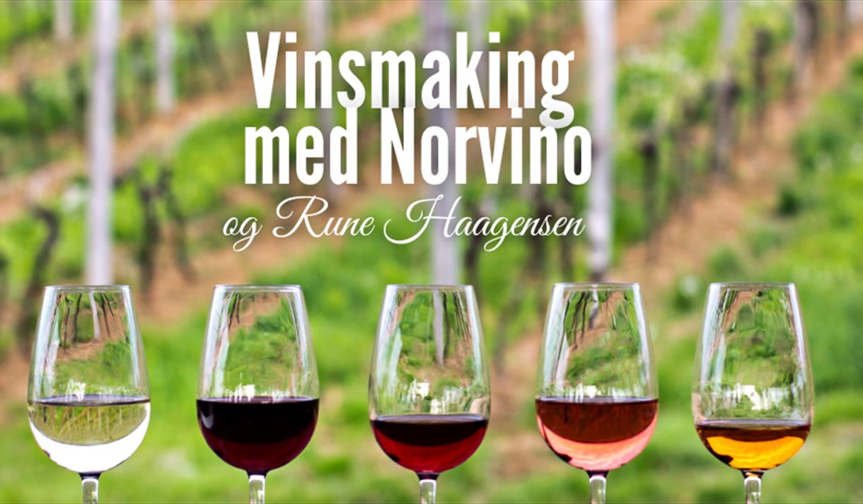 plakat til "vinsmaking med Norvino"