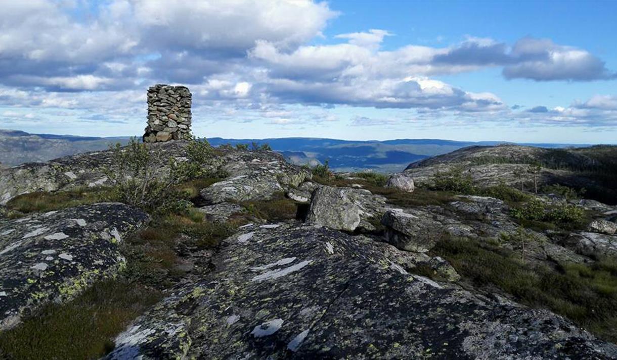 Allambegrknatten