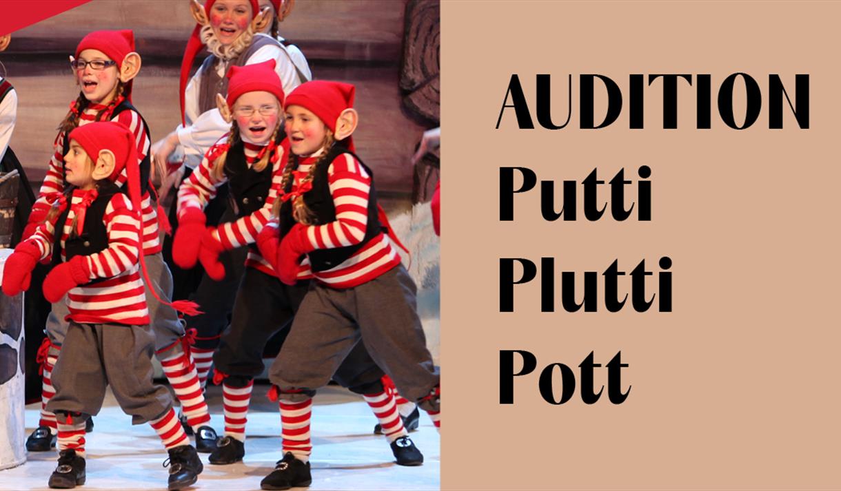 plakat til "audition Putti Plutti Pott"