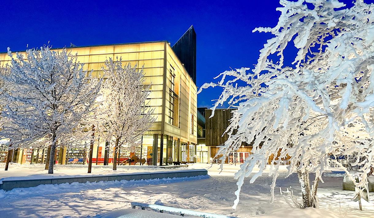 Bok og Blueshuset vinter