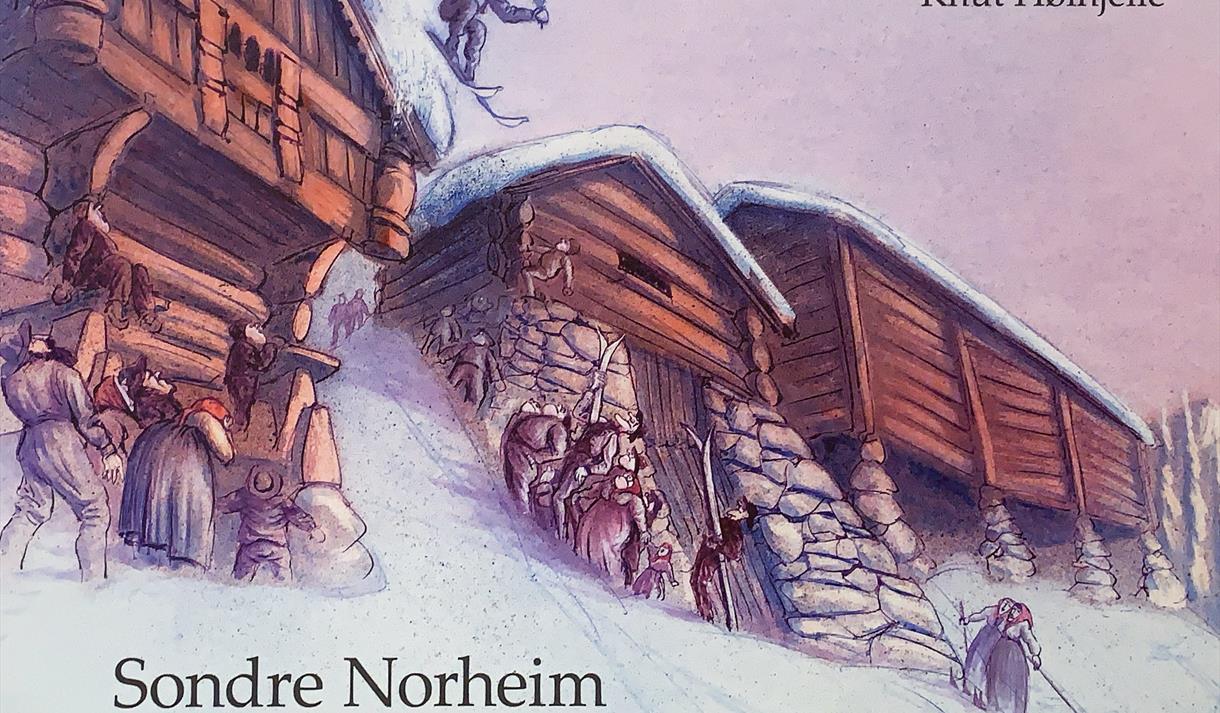 Vest-Telemark museum, Sondre Norheim, bok.