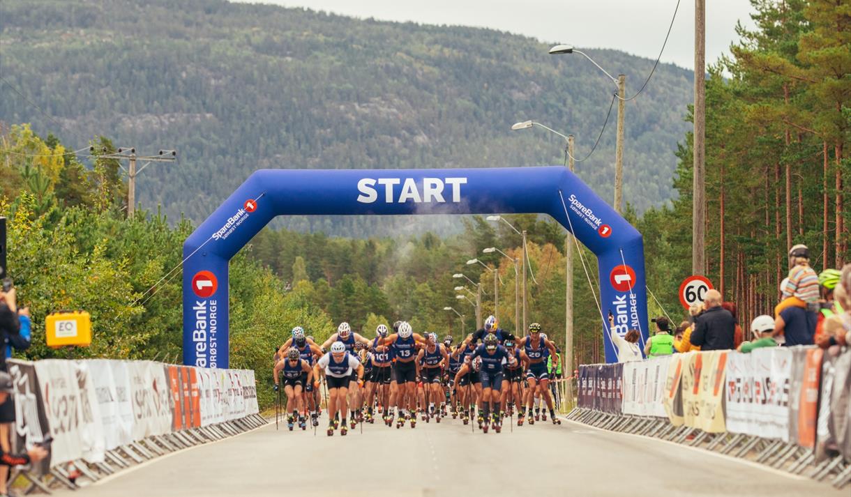 TelemarksVeka