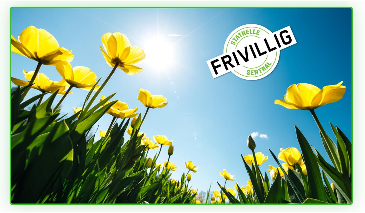 plakat med guleblomster og logo