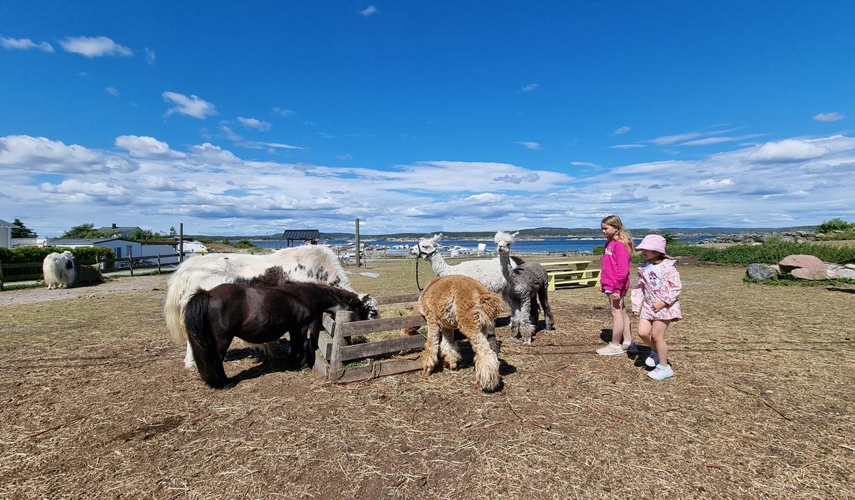 Gundersen gård på Jomfruland