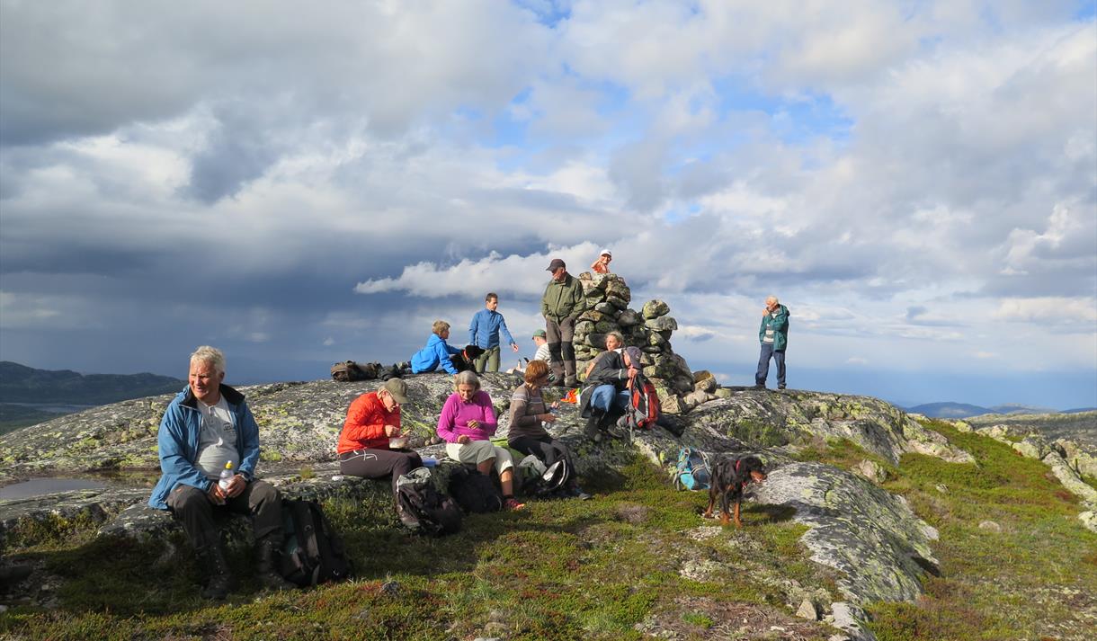 Hestekvævnuten