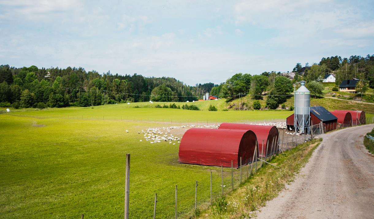 Holte gård