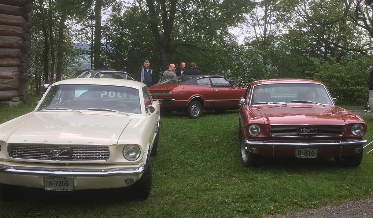 veteranbiler i  Brekkeparken