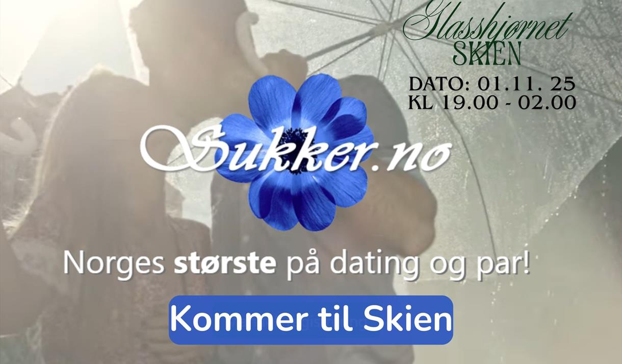 plakat til "Sex and the city - Sukker.no"