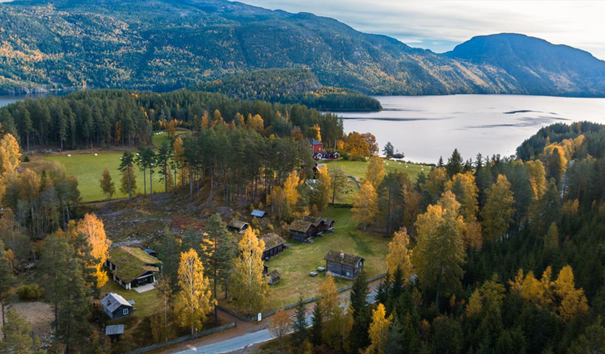 dronebilde av Kviteseid bygdetun på høsten
