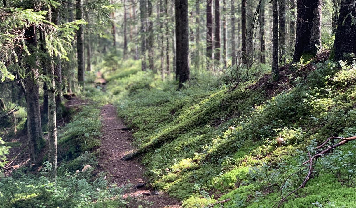 Nærtur