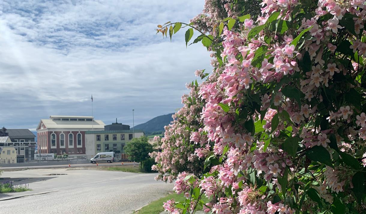 Vi finner blant annet Lysbueovnen i Hydroparken.