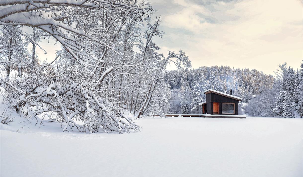 vinter på Skogens rom