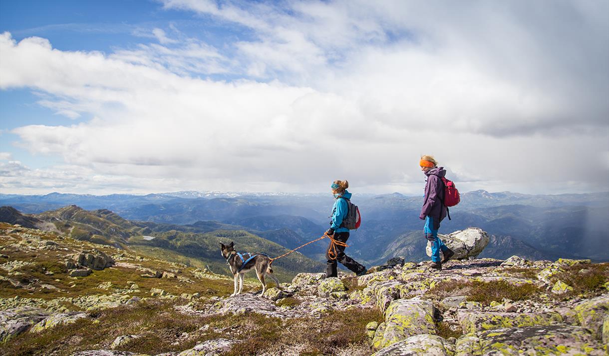 to vandrere med hund på toppen av Skorve