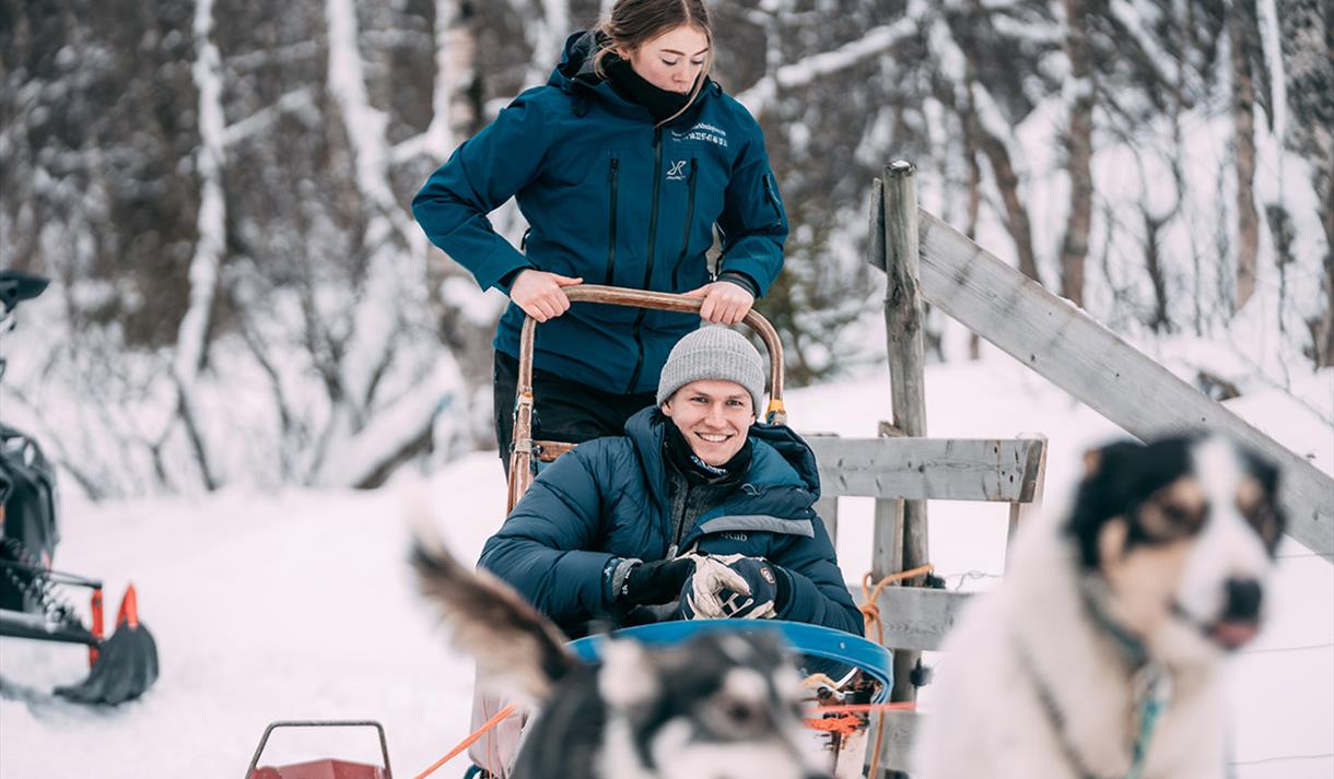 hundesledekjøring med Telemark Husky Tour