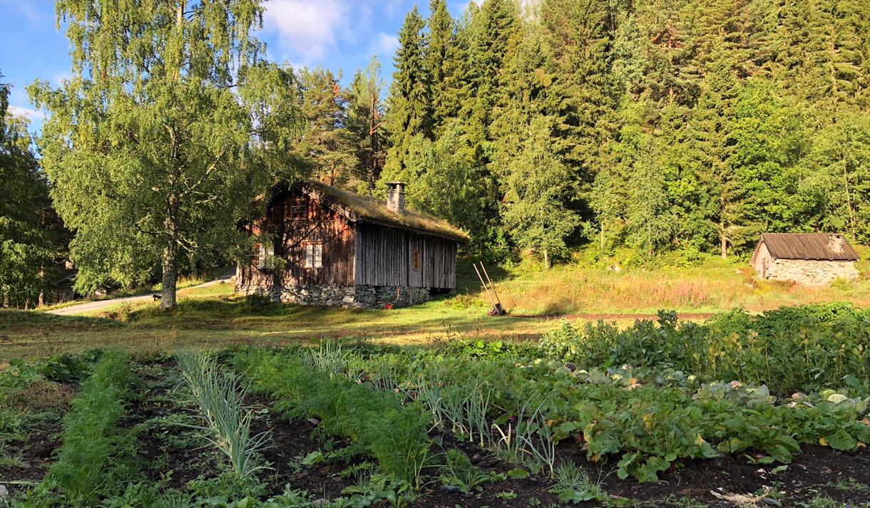 Åker i Eidsborg