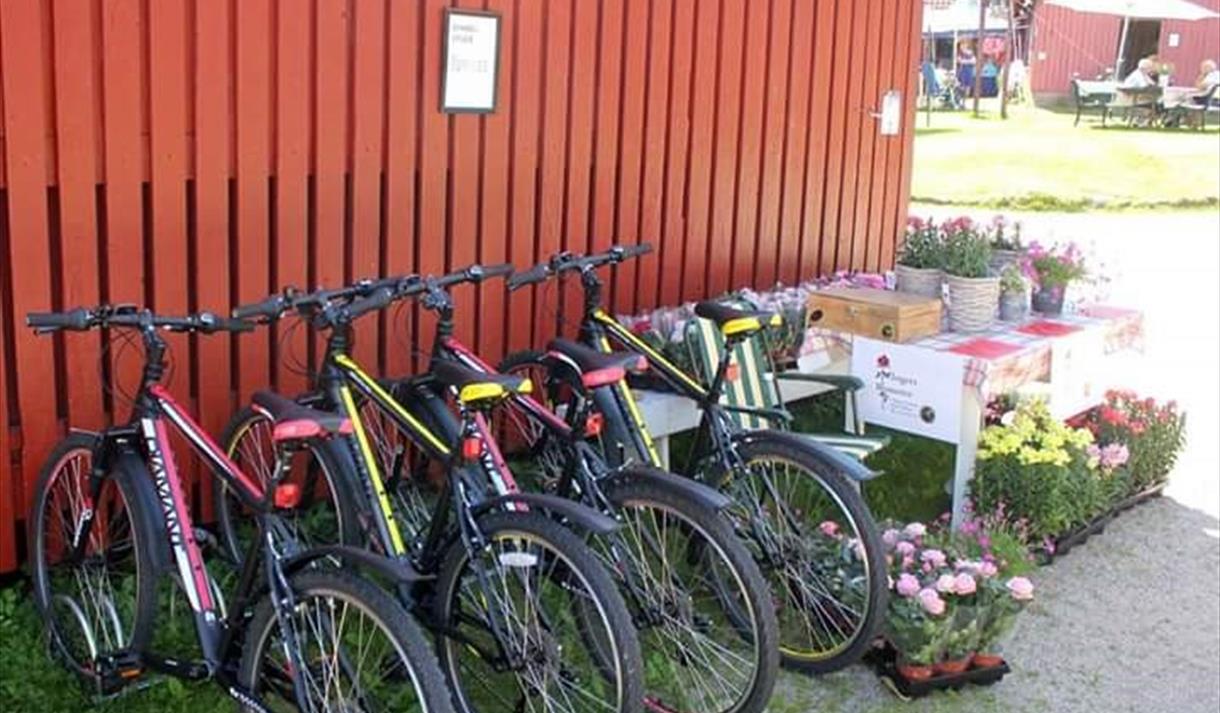 sykler til leie hos Øvre Verket