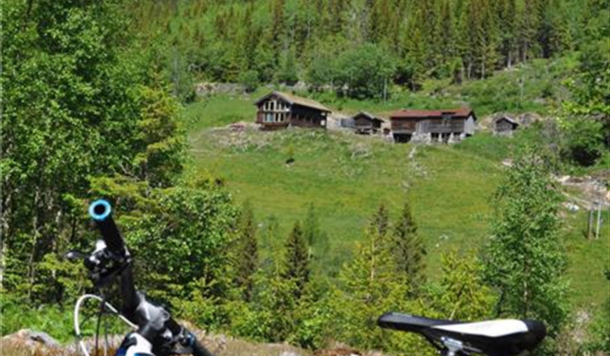 Sykkel langs Skarsvegen.