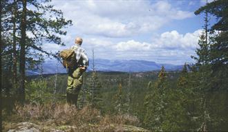 Vestmarka