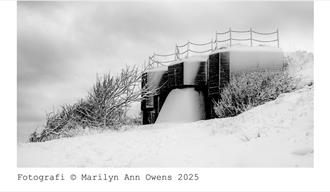 Closed Doors Open Skies