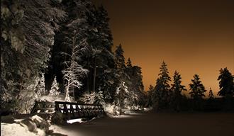 Tinnemyra om vinteren, i Notodden. Foto