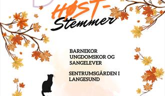 hvit plakat med oransje farger på blader og og tekst. sort katt