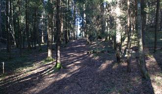 Tangvald naturreservat
