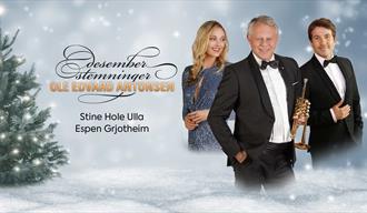 plakat til "desemberstemmning"