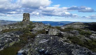 Allambegrknatten