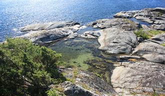 Svaberg på Arøy