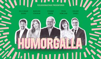 Humorgallaplakat
