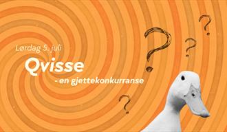 Qvisse - en gjettekonkurranse