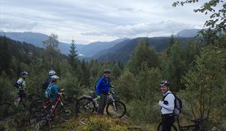 Guidet sykkeltur - Telemarkreisen