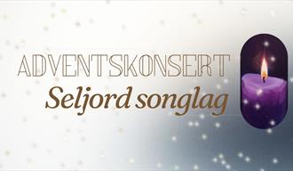 Adventskonsert søndag 30.november