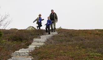 Solstien på Hardangervidda