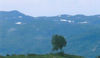 Kartbok for pilegrimsvegen