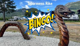 Opplevelsesbingo
